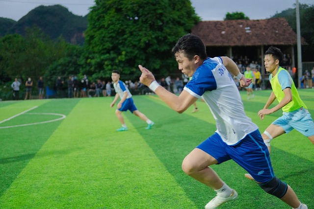 视野为球队